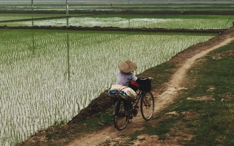 기토 계수 - 옥토와 이슬비, 섬세한 조화의 미학 3
