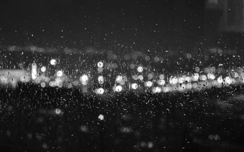 기토 계수 - 옥토와 이슬비, 섬세한 조화의 미학 7