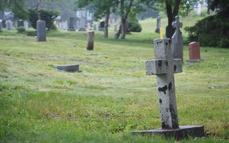 사주 입묘론 - 당신의 운명 속 숨겨진 가능성과 위기 완벽 이해하기 5 20260111080953861