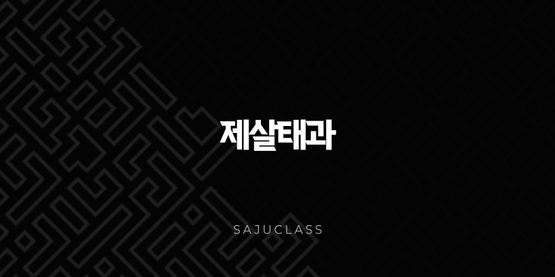 제살태과 - 너무 강한 제어, 오히려 독이 될 수 있을까요? (2025년 관점) 1 image 100