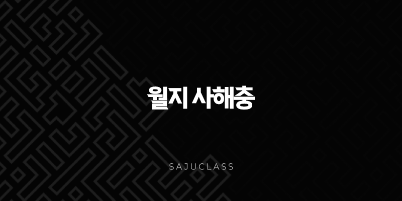 월지 사해충 - 사주팔자 지지충 완벽 분석과 인생 풀이 비법 1 image 25