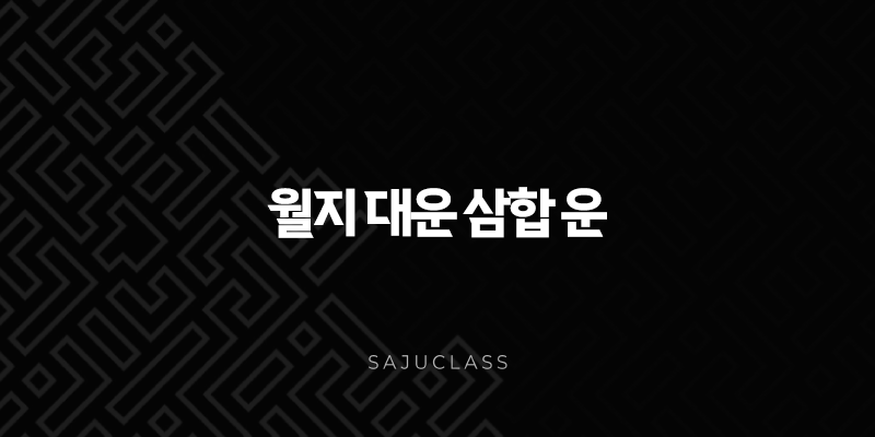 월지 대운 삼합 운 - 사주팔자 심층 분석으로 나의 인생 흐름 찾기 1 image 49