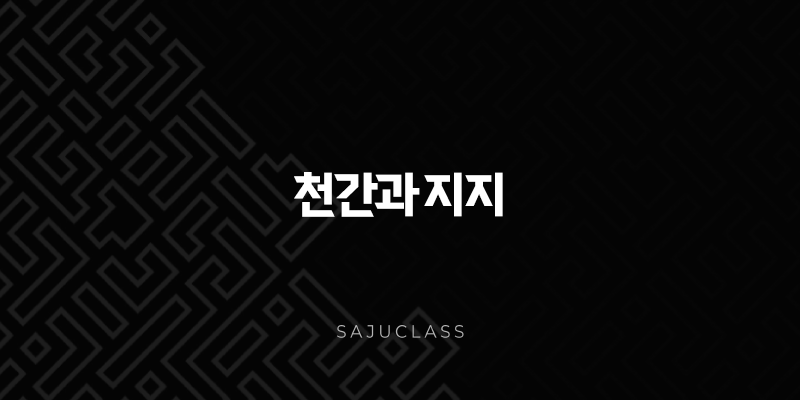 천간과 지지의 차이점과 중요도 - 사주 명리학의 기초부터 심층 분석까지 1 image 76