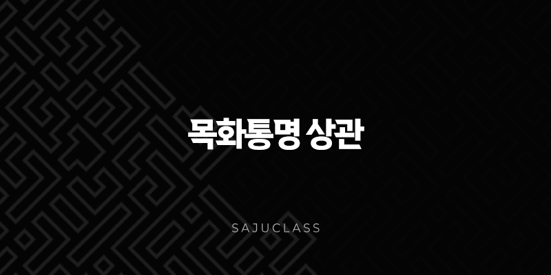 목화통명 상관 - 당신의 숨겨진 재능과 가능성 알아보기 1 image 87