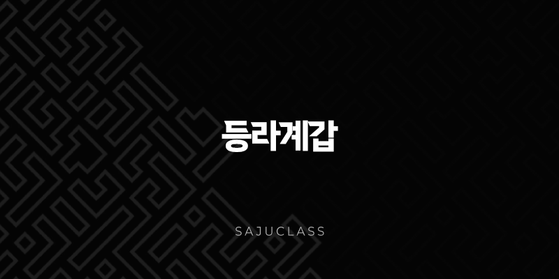 등라계갑 - 사주 속 숨겨진 의미와 당신의 가능성 1 image 97