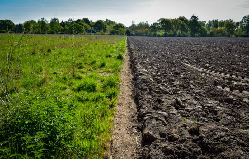 진술축미 속에 감춰진 거대한 잠재력, 토의 저장고 역할이 운명을 바꾼다 1 20251124165148404