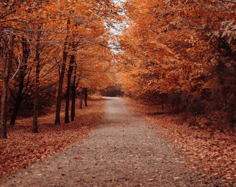 금의 종혁 숙살지기 본질로 꿰뚫는 문명과 운명의 개혁 2 20251124173506230
