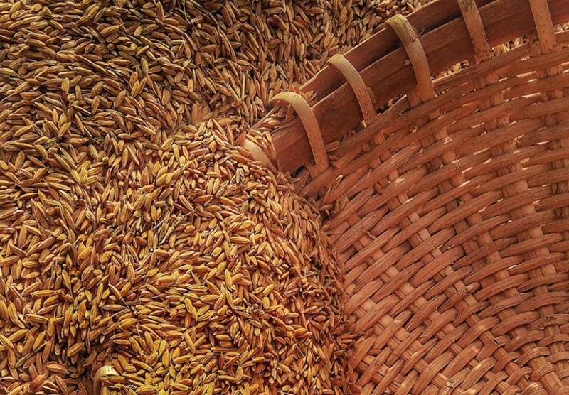 금의 종혁 숙살지기 본질로 꿰뚫는 문명과 운명의 개혁 3 20251124173544198