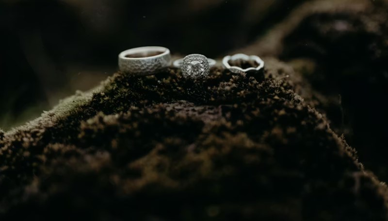 오행의 상생이 무조건 길하다고 믿는 당신이 범하는 치명적인 오류 3 20251124233231822