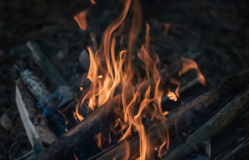 오행의 상생이 무조건 길하다고 믿는 당신이 범하는 치명적인 오류 4 20251124233622618