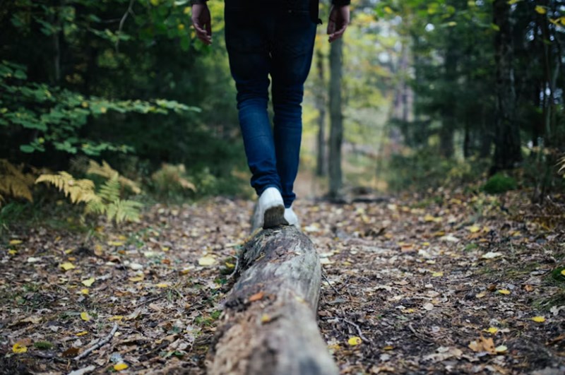 오행의 상생이 무조건 길하다고 믿는 당신이 범하는 치명적인 오류 7 20251124234352739