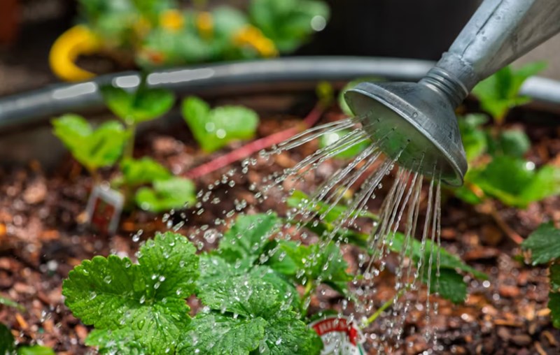 쇠자희생 약한 기운을 돕는 진정한 방법론과 사주 원리 4 20251125134942974