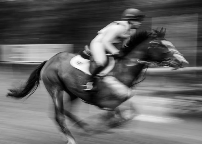 사주명리의 비밀: 뿌리 없는 천간은 진짜 허상에 불과한가? 4 20251126093929677