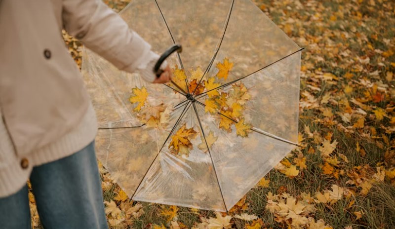 오행의 십이운성적 해석, 생왕묘의 순환 고리 7 20251126111145330