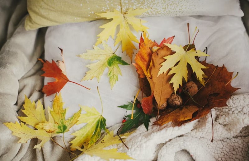 오행의 십이운성적 해석, 생왕묘의 순환 고리 5 20251126111405505