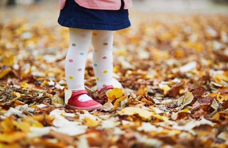 오행의 십이운성적 해석, 생왕묘의 순환 고리 4 20251126111525621