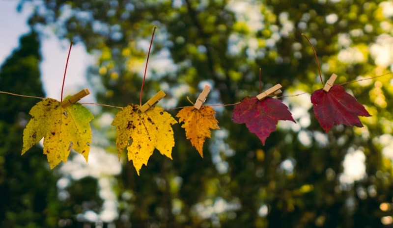 계절에 따른 오행 변화가 당신의 운명을 결정짓는 진짜 이유 1 20251126142845636