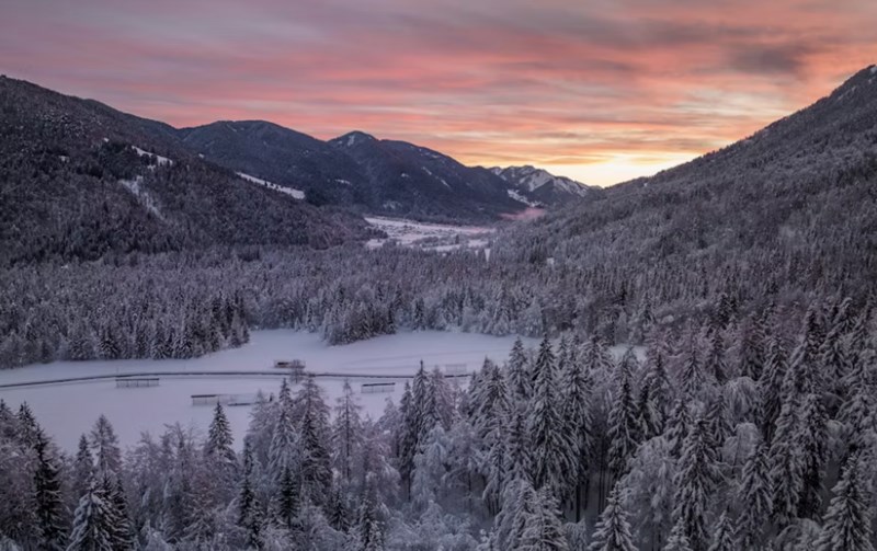 계절에 따른 오행 변화가 당신의 운명을 결정짓는 진짜 이유 5 20251126144207289