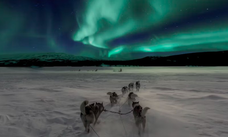 계절에 따른 오행 변화가 당신의 운명을 결정짓는 진짜 이유 6 20251126144319702