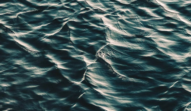 임수와 계수 운명을 가르는 물의 흐름과 스며드는 지혜의 차이 1 20251127143708430