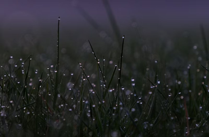 임수와 계수 운명을 가르는 물의 흐름과 스며드는 지혜의 차이 3 20251127155935527