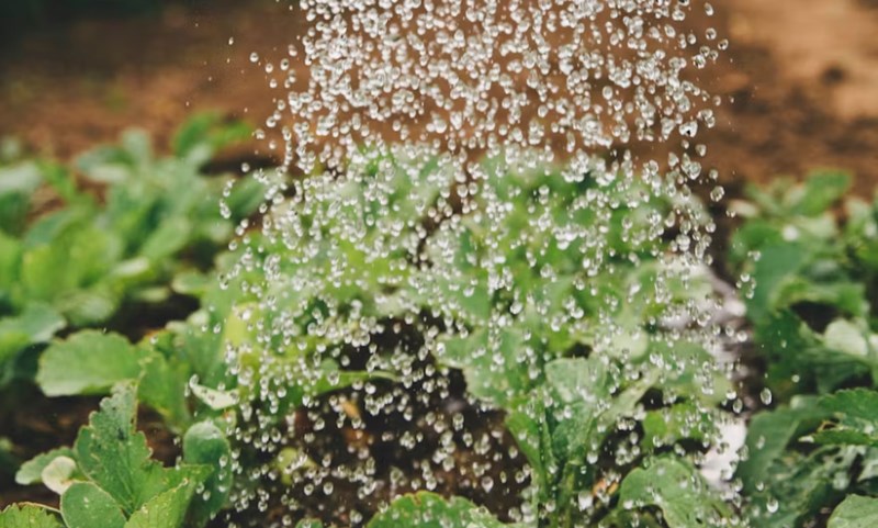 임수와 계수 운명을 가르는 물의 흐름과 스며드는 지혜의 차이 4 20251127160922633