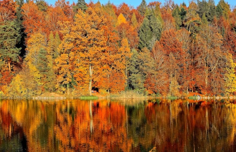 지지 12글자의 진짜 의미는 동물이 아니다? 계절 속에 숨겨진 사주의 비밀 3 20251127174149881