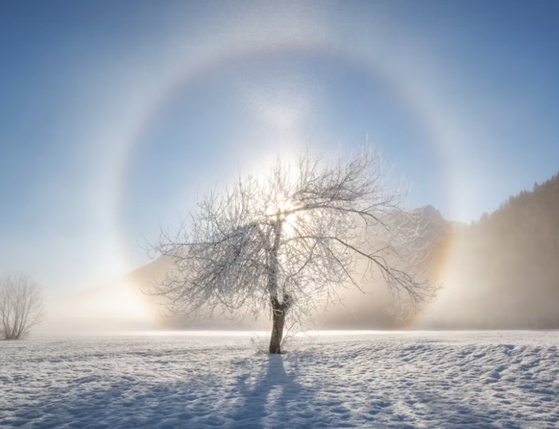 지지 12글자의 진짜 의미는 동물이 아니다? 계절 속에 숨겨진 사주의 비밀 4 20251127174513718