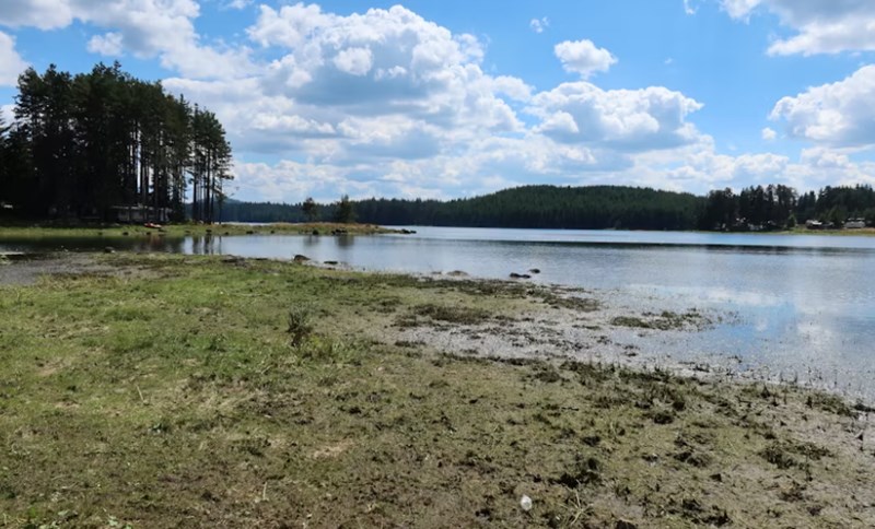 지지 12글자의 진짜 의미는 동물이 아니다? 계절 속에 숨겨진 사주의 비밀 6 20251127175226808