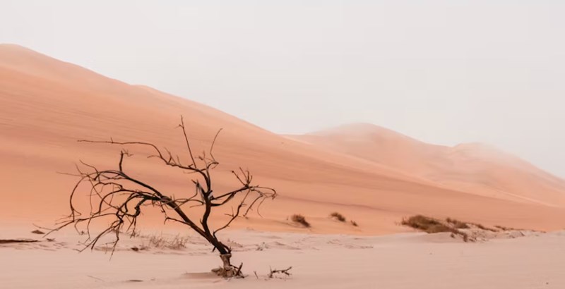 지지 12글자의 진짜 의미는 동물이 아니다? 계절 속에 숨겨진 사주의 비밀 7 20251127175302279