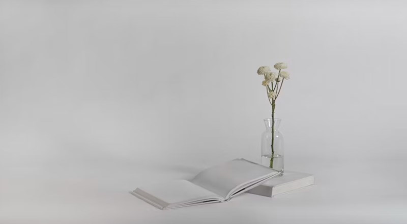 십신의 태과와 불급 사주 다자 무자가 반드시 겪는 운명의 결핍과 실전 통변 1 20251204191523757