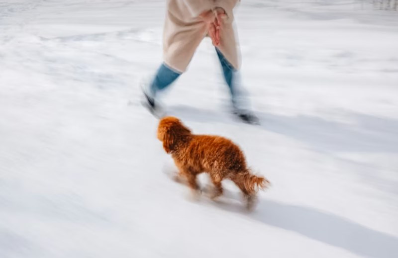 무인성 사주 행동력의 비밀 생각보다 몸이 먼저 반응하는 놀라운 직관 3 20251205144924845