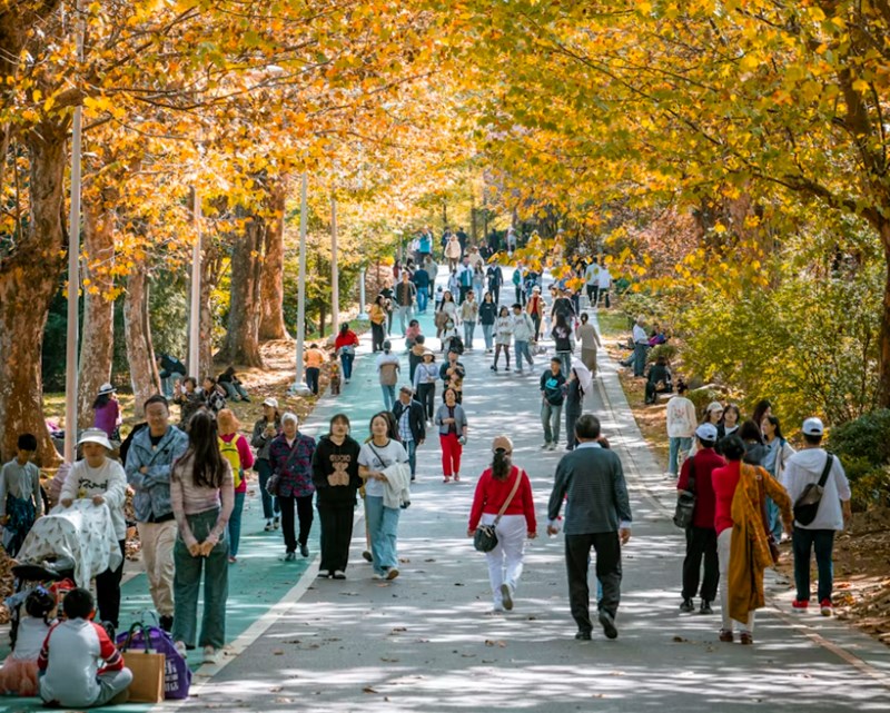 군겁쟁재 사주 풀이 돈 앞에서 피도 눈물도 없는 쟁탈전의 실체 10 20251205213655805