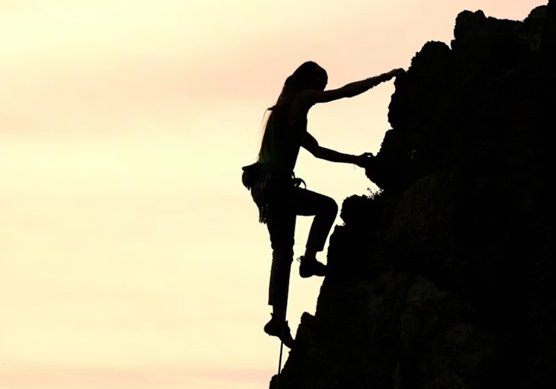 식신제살 사주 위기를 기회로 바꾸는 최고의 해결사 명조 9 20251206110736222