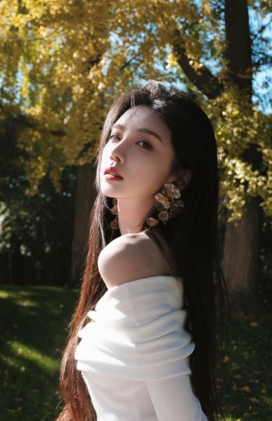 사주 진도화의 원리와 십이운성적 근거에 관한 심층 연구 17