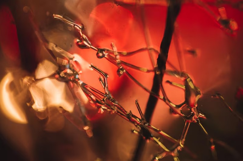 명리 지지론에서의 묘오파(卯午破)에 관한 분석적 고찰: 구조적 기전과 임상적 변용 2 20251230161426156