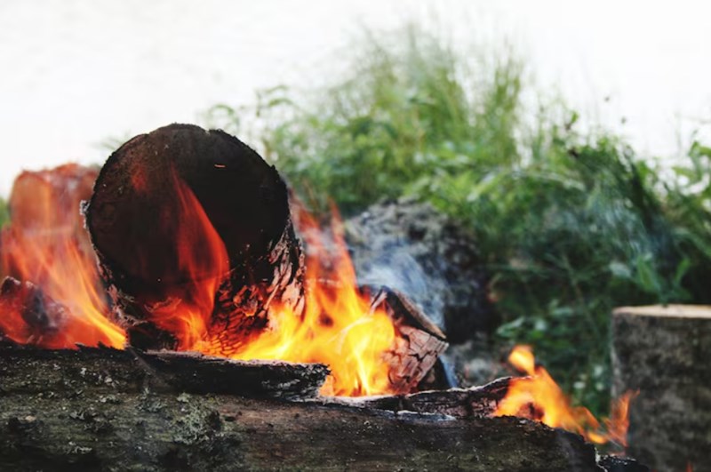 명리 지지론에서의 묘오파(卯午破)에 관한 분석적 고찰: 구조적 기전과 임상적 변용 4 20251230161654433