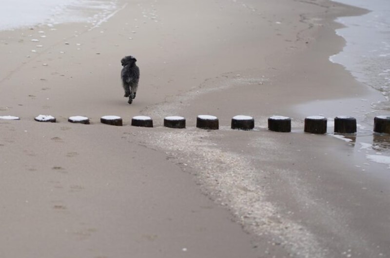 명리 지지론에서의 묘오파(卯午破)에 관한 분석적 고찰: 구조적 기전과 임상적 변용 5 20251230161842896