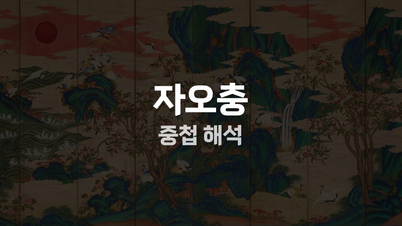 자오충 중첩 해석