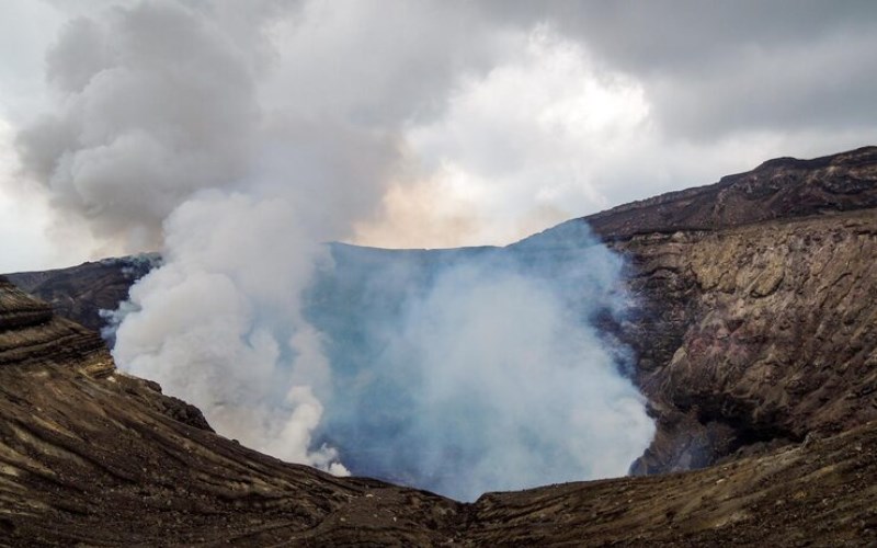 백호대살 보는 법과 현대적 해석으로 알아보는 압도적 성공의 비밀 6 백호대살 보는 법과 현대적 해석으로 알아보는 압도적 성공의 비밀 5