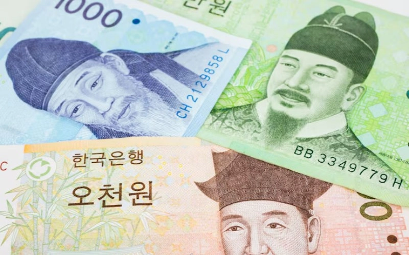 지갑 재물운 폭발시키는 비기 당장 쌀알 21개를 넣어야 하는 이유 - 사주통변 지갑 재물운 지갑 재물운 폭발시키는 비기 당장 쌀알 21개를 넣어야 하는 이유 4