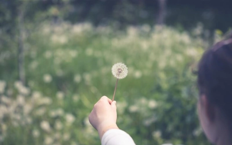 명예운 사주 말년 기운이 들어오면 인생이 바뀌는 징조와 병오년 대운 잡는 법 7
