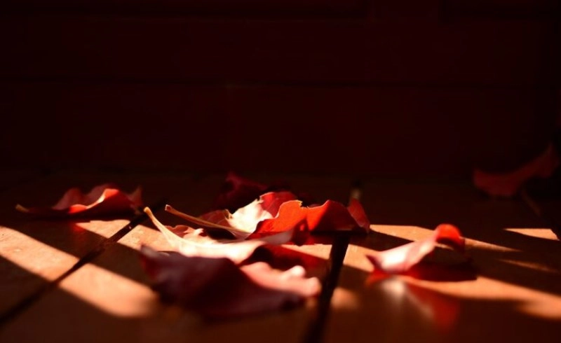 사주에 살풀이가 필요한 연애운의 특징 7