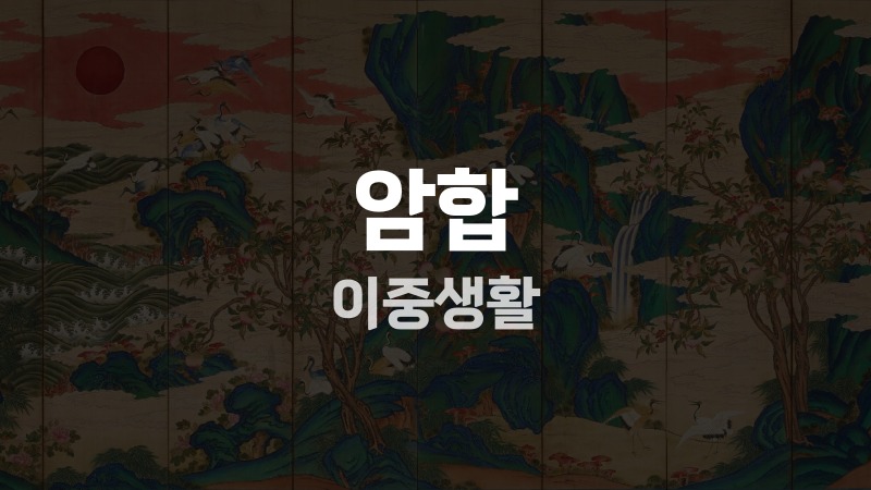 암합 이중생활