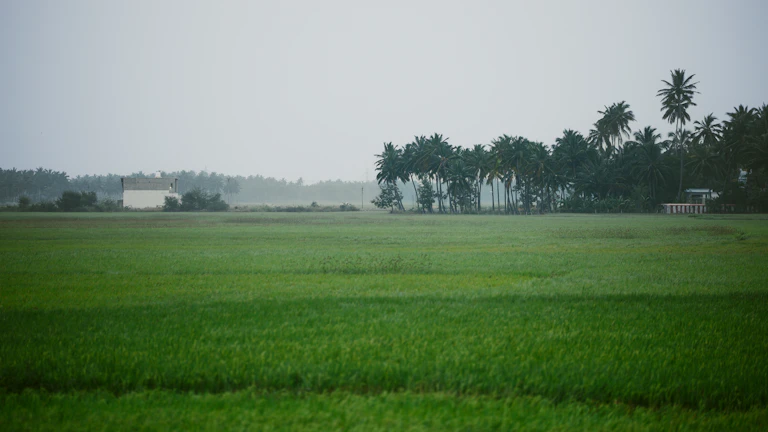 사주 일간별 운을 상승시키는 행운의 숫자와 요일, 완벽 가이드 3 비옥한 밭