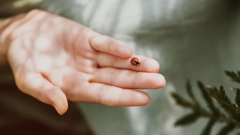사주 일간별 운을 상승시키는 행운의 숫자와 요일, 완벽 가이드 1 행운의 부적을 들고 있는 사람