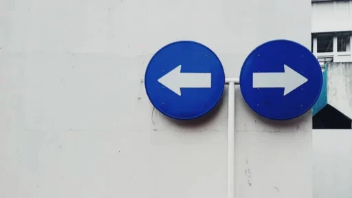 만세력 지지 사화, 칼날 같은 직관력으로 승부하는 빠른 상황 판단력의 비밀 13