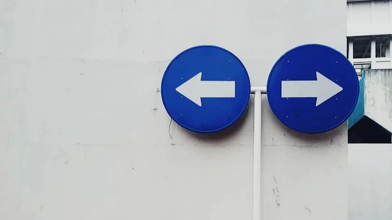 만세력 지지 사화, 칼날 같은 직관력으로 승부하는 빠른 상황 판단력의 비밀 1 중요한 결정을 빠르게 내리는 사람