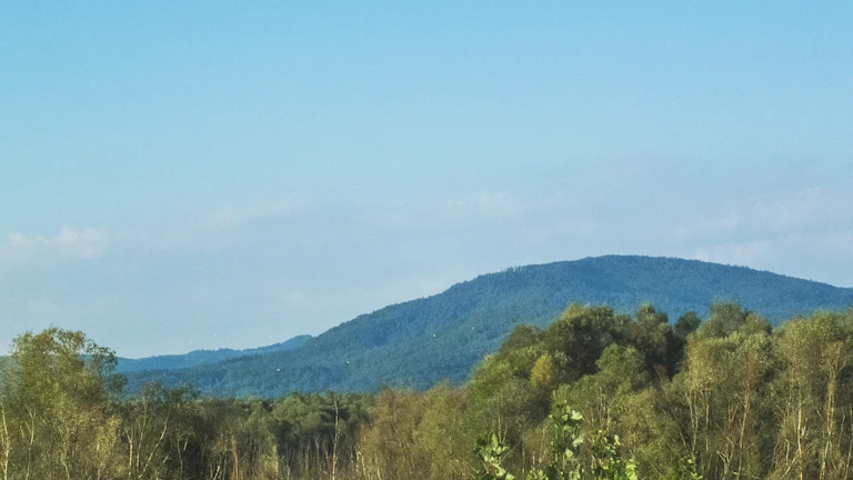 사주 일간별 운을 상승시키는 행운의 숫자와 요일, 완벽 가이드 2 밝게 빛나는 태양