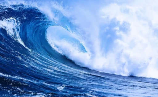 임자일주(壬子日柱)의 명리학적 심층 분석: 기질, 사회적 성취 및 현대적 삶의 궤적 1